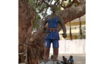 Sur les traces de l’esclavage au Bénin