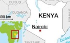 Kenya: 24 morts dans un accident de la route