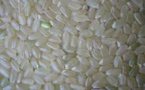 Le Directeur du Commerce intérieur rassure: «Scientifiquement, le plastique ne peut pas être transformé en riz»