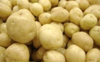 ​Veille Korité: Thiès entre flambée des prix et pénurie de la pomme de terre