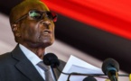 Zimbabwe : Robert Mugabe fait un don de bétail à l'UA