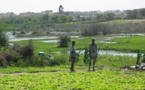«Halte ! Il ne faut pas détruire la zone des Niayes», (environnementalistes)