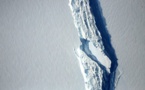 Un iceberg de mille milliards de tonnes se détache de l'Antarctique