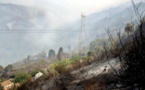 Incendies en Algérie: le manque de moyens des pompiers fait polémique