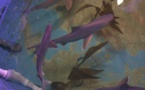 Etats-Unis: 10 requins trouvés dans un domicile