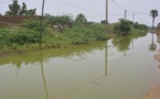 Inondations au Niger