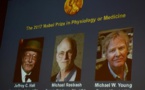 Les Américains Jeffrey C. Hall, Michael Rosbash et Michael W. Young reçoivent le prix Nobel de médecine