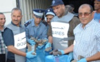 ​Maroc : saisie record de drogue