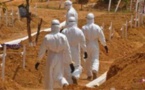 Ebola: des résultats prometteurs