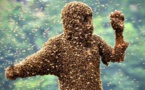 Vidéo-Incroyable : un voleur de voiture arrêté par des abeilles – Regardez !