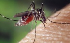 Après Louga, la dengue s'installe à Fatick