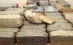 Mermoz : Un dealer arrêté avec 9,5 kg et 32 cornets de chanvre