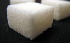 Il y n’a aucun avantage à importer du sucre selon l’opérateur économique Moustapha Tall