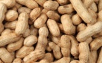 ​Suspension de la taxe à l’exportation sur l’arachide, (Communiqué)