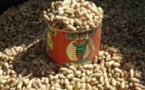 Suspension taxe sur l’exportation de l’arachide: des acteurs saluent une "sage" et "appropriée" décision