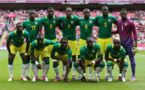 Préparation des "Lions" Coupe du Monde : Pas question de jouer avec une équipe africaine (Fédération)