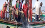 Affaire Fallou Sall : Les huit pêcheurs arrêtés en Mauritanie libérés