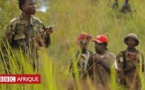 RDC : 20 morts dans des violences