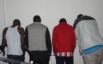 Mbour : La gendarmerie démantèle la bande des experts en vol de bétail