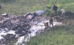 Un avion de combat israélien a été abattu par l'armée syrienne