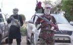 ​60 ans de prison pour un combattant de Boko Haram