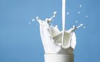 Economie : le lait en poudre importé tue le consommé local.