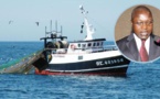 Le ministre Oumar Gueye précise : "Les pêcheurs sénégalais n'ont pas été arrêtés, mais..."