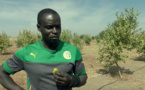 Après sa carrière de footballeur, Ferdinand Coly se reconvertit en agriculteur... Regardez !!!