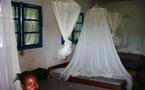 «La lutte contre le paludisme est permanente» selon le représentant de l’OMS.
