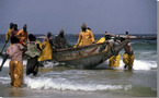 Attribution de licence de pêche: La Mauritanie envisage de réduire les 300 licences attribuées au Sénégal