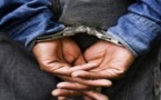 Meurtre d’un garde-forestier à Kolda : Un Sénégalais et trois Gambiens arrêtés