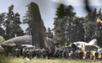 Crash d'un avion militaire en Algérie: un deuil national de trois jours décrété
