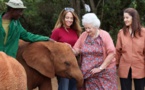 Kenya: décès de Daphne Sheldrick, la protectrice des éléphanteaux orphelins