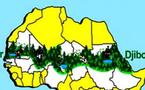 Grande muraille verte : onze pays africains en lutte contre la désertification