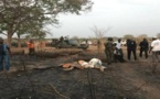 ​Trafic de bois: le Sénégal exerce désormais un droit de poursuite en Gambie