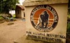 RDC: libération des deux touristes britanniques enlevés dans les Virunga