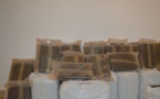 Coup dur pour les trafiquants de drogue : la gendarmerie débusque 304 kilos de chanvre indien