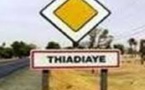 Thiadiaye : le collectif des agriculteurs s’insurge contre leur maire.