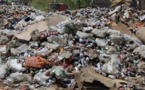 Fatick : 3,6 tonnes de produits périmés incinérées