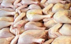 ​Korité-2018 : 11 millions de poulets attendus sur le marché