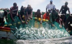 ​Accords de pêche Sénégal-Mauritanie : les pêcheurs artisanaux exigent la démission de Oumar Guèye