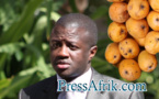 ​Interdiction de la mangue sénégalaise en Europe : Dr Malick Diop dément et précise