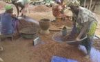 Production du beurre de karité : Une activité qui fait vivre de nombreuses femmes rurales à Kankan
