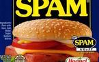 Le roi du spam est en cavale, 20% de spams en moins