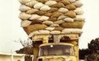 « 95F le kilo d’arachide dans les loumas »