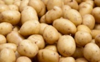 Rareté de la pomme de terre: les commerçants lancent un SOS