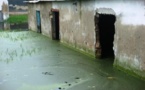 Kidira entre eaux usées et inondations : les autorités réclament leur Puma