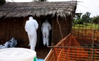 En RDC, pour vaincre Ebola, la rapidité d'intervention est cruciale