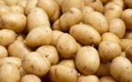 ​Pomme de terre: "plus de 160 mille tonnes produites et consommées" au Sénégal, selon Alioune Sarr