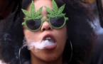 Le cannabis privé légalisé en Afrique du Sud